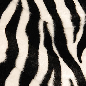Zebra Print