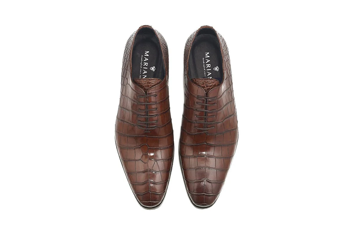 Oxford Crocodile Skin Shoe